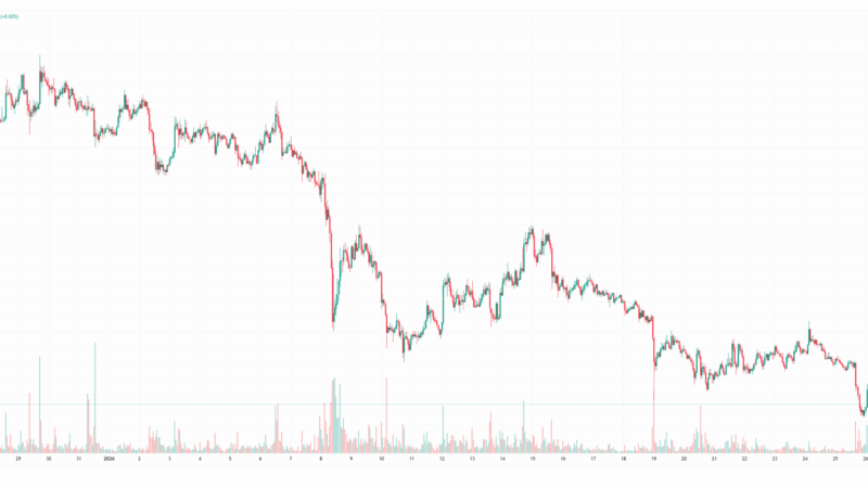 These Popular Altcoins Lost the Most in the Last 24 Hours: What You Need to Know