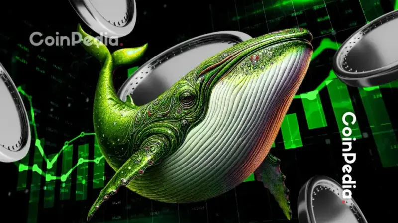 Today’s Top Crypto Gainers: PIPPIN and HYPE Lead as Volume and Structure Align