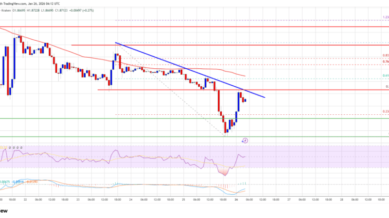 XRP Price Bearish Continuation Confirmed As Downside Pressure Builds