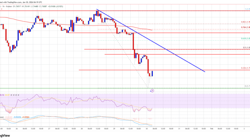 XRP Price Breakdown Accelerates — Can Support Absorb The Shock?