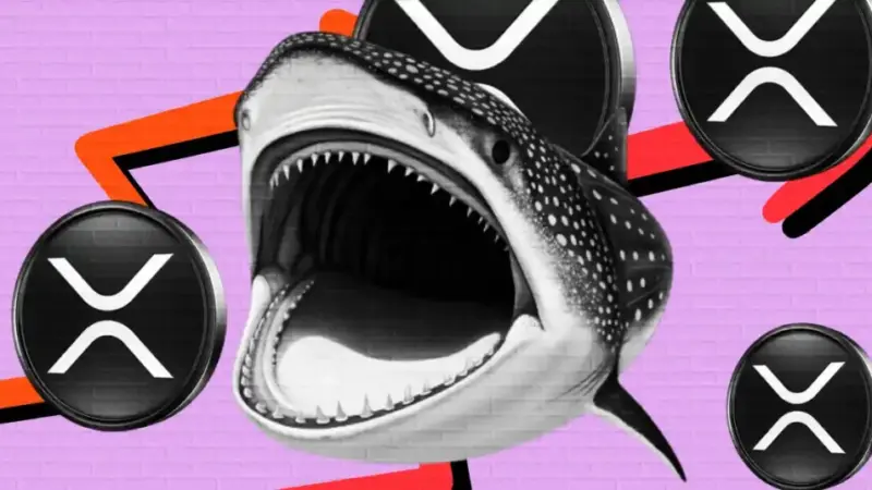 XRP Price Falls 7.5% as $72M Liquidations Hit, Whales Quietly Buying!