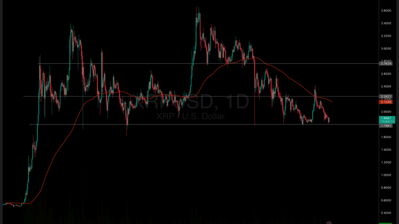 XRP Price Keeps Falling as Investors Say ‘Stay Away’