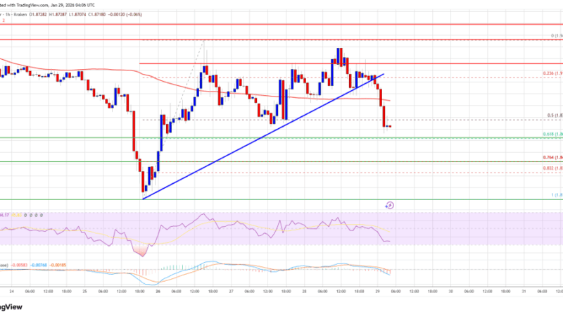 XRP Price Signals Vulnerability With Another Drop On The Table