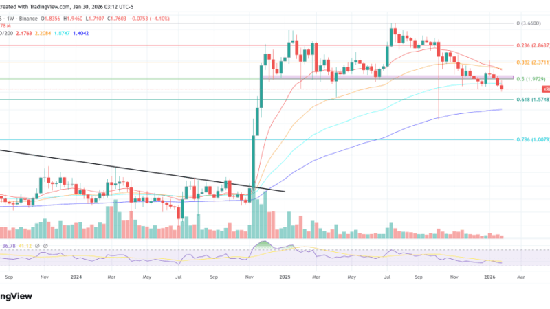XRP To $100? Ex-Ripple CTO David Schwartz Weighs In On The Hype