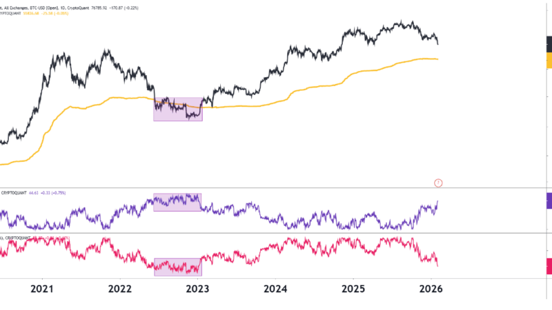 Bitcoin Bear Market Signal Emerges: Supply in Loss Rises Above 40%