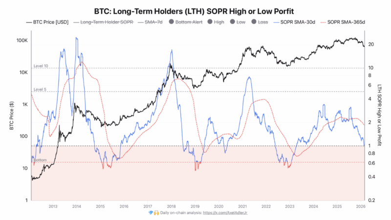 Bitcoin Enters Fragile Phase As Annual LTH Realized Profits Taper — Details