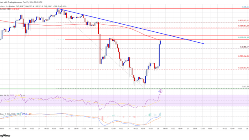 Bitcoin Price Attempts Comeback, but Technical Hurdles Challenge Bulls Ahead