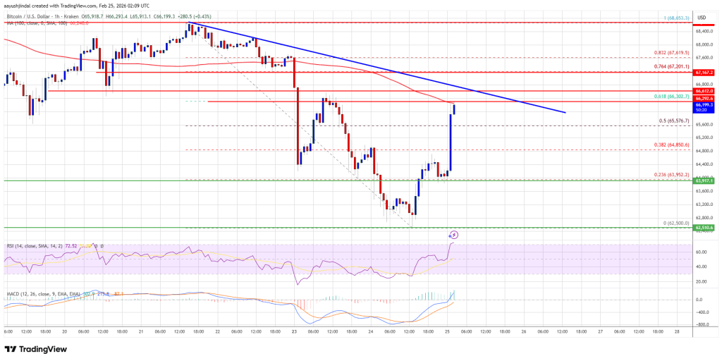 Bitcoin Price Attempts Comeback, but Technical Hurdles Challenge Bulls Ahead