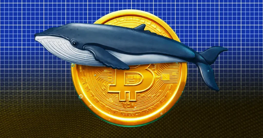 Bitcoin Price Eyes $80K as Whales Go Quiet Before March 1