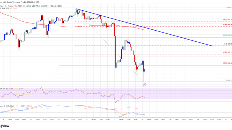 Bitcoin Price Sinks to New Weekly Low, Bulls Lose Key Support