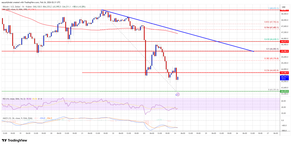 Bitcoin Price Sinks to New Weekly Low, Bulls Lose Key Support
