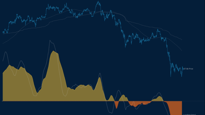 Bitcoin Sell-Off Slows Down, But The Road To Recovery Is Long — Analyst