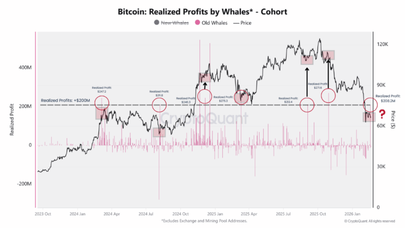 Bitcoin Whale Profit-Taking Sees 7th Surge Since 2024 — What To Expect