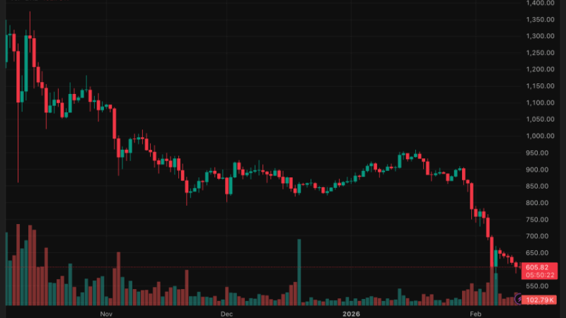 BNB Chain Expands With $1B Fund Access While BNB Price Nears Critical Support