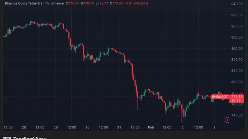 BNB Chain Metrics Show Strong Performance As BNB Price Retests ‘Do Or Die’ Level