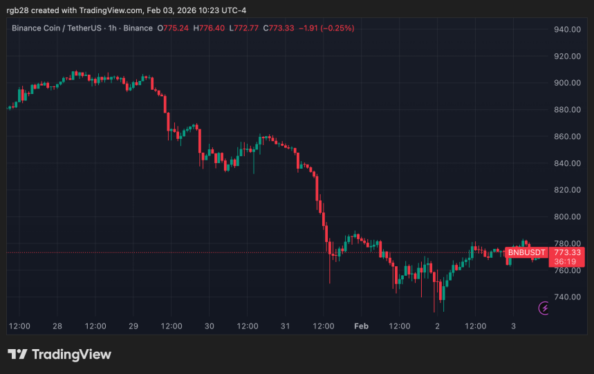 BNB Chain Metrics Show Strong Performance As BNB Price Retests ‘Do Or Die’ Level