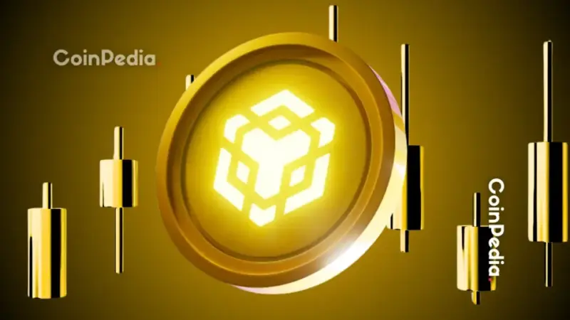 BNB Price Breakdown Accelerates as Bearish Flag Targets Lower Levels