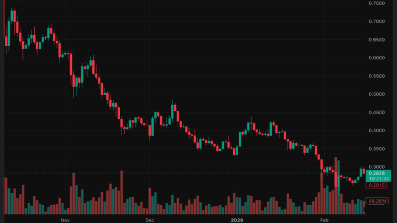 Cardano (ADA) Back in ‘Survival Mode’ Despite Whale Accumulation and DeFi Expansion Plans