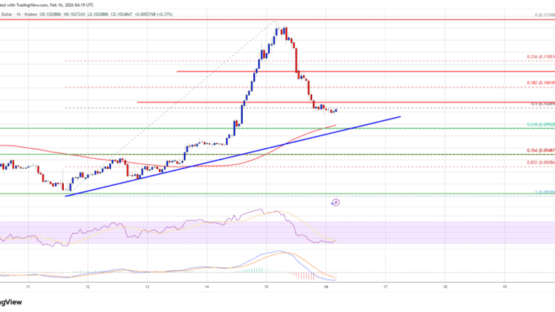 Dogecoin (DOGE) Gives Back Gains, Support Level Under Spotlight