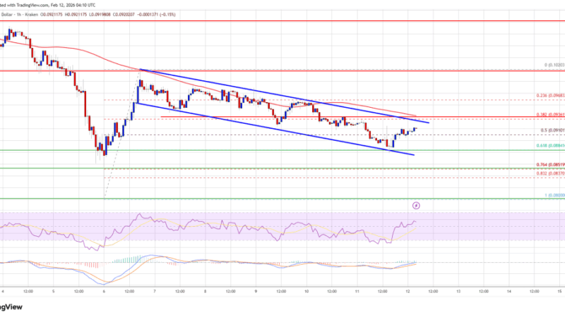 Dogecoin (DOGE) Stumbles Lower, Market Awaits Trend Shift Signal