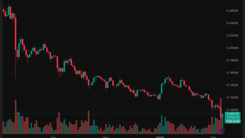 Dogecoin Drops Below $0.09 as Market Weakness Outweighs Musk Hype