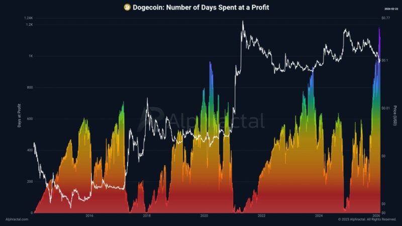 Dogecoin Sets A New Record In A Key Cycle Indicator: Bottom In?