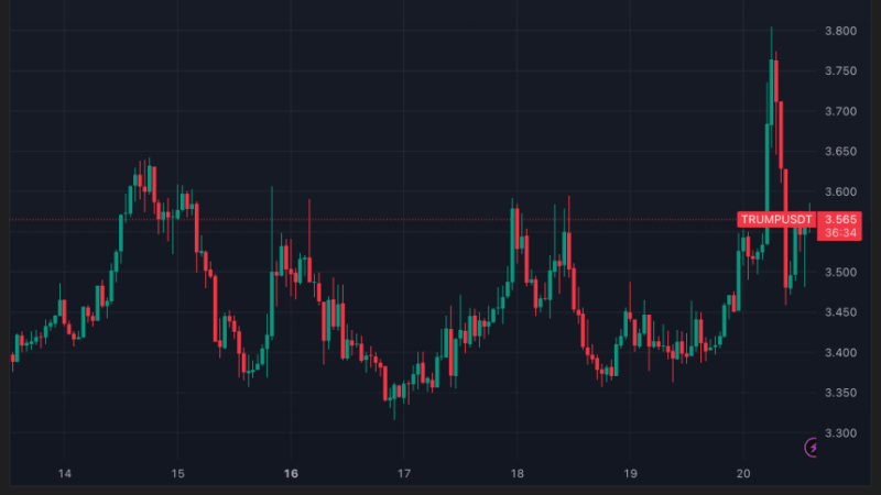 Investors In Trump Family Memecoins Record $4.3 Billion In Losses As Tokens Sink