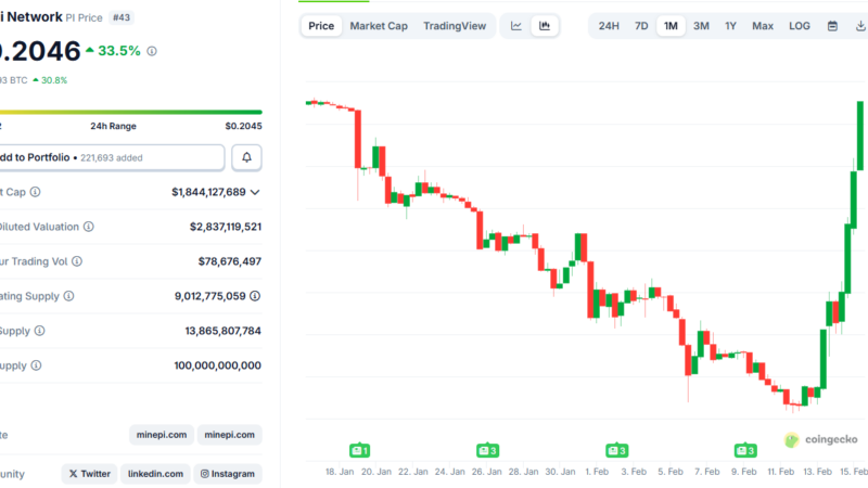 Pi Network Pioneers Celebrate PI’s 35% Daily Surge as Important Deadline Approaches