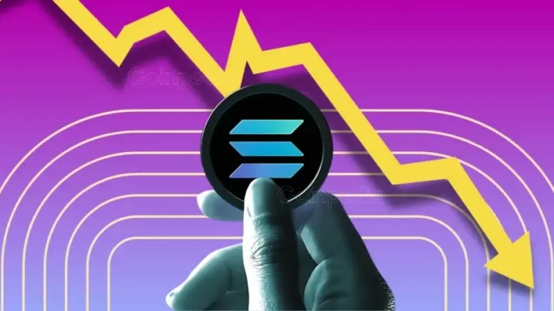 Solana Falls Below $80, Traders Now Watch This Zone Closely?