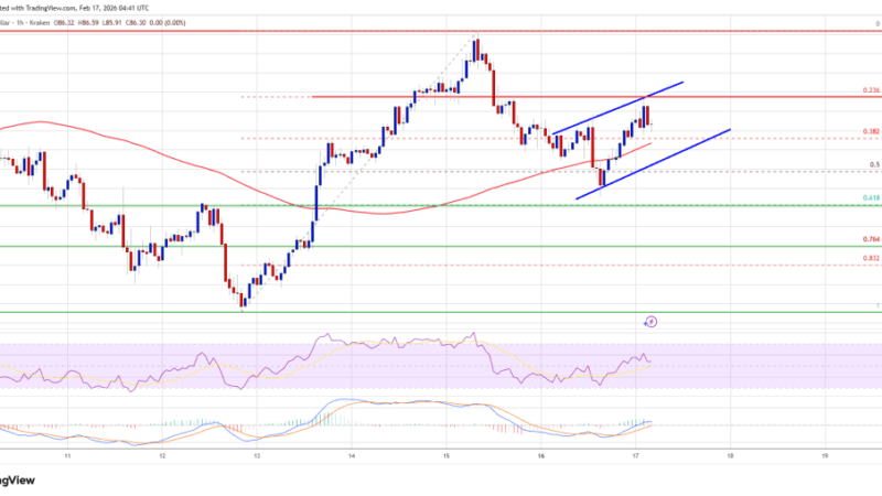 Solana (SOL) Gears Up For Another Rally Attempt — Can Bulls Clear $92 Barrier?