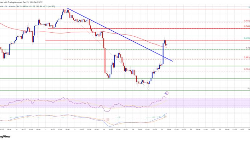 Solana (SOL) Recovery Shows Strength After Breaking Initial Resistance Level