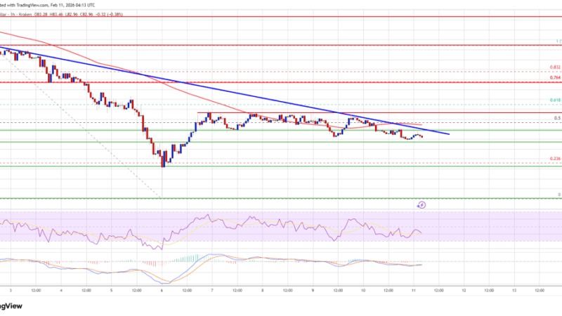 Solana (SOL) Under Pressure As Downtrend Looks Ready To Resume