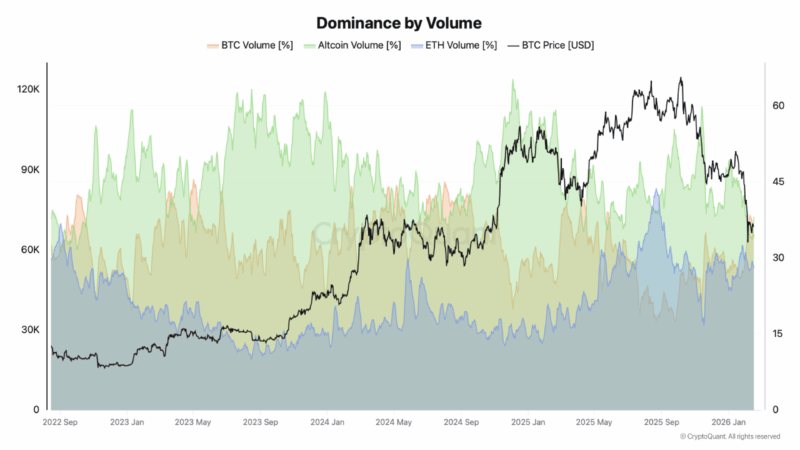 The Altcoin Exodus: Trading Volumes Halve As Capital Flees To Bitcoin $65,000 Fortress