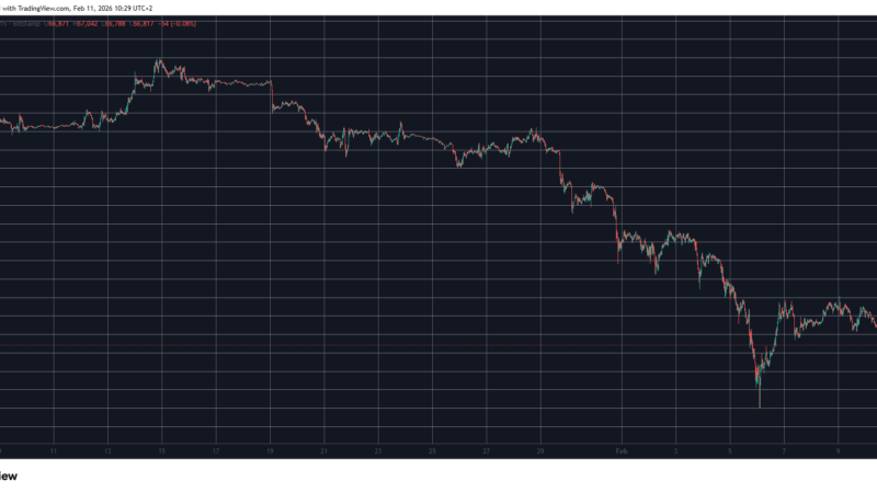 These Altcoins Bleed Out Again as Bitcoin Dips Below $67K: Market Watch