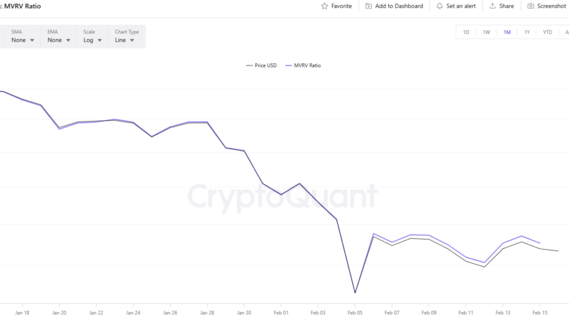 Top Bitcoin (BTC) Price Predictions: Revival to $80K or Brutal Crash Below $30K?