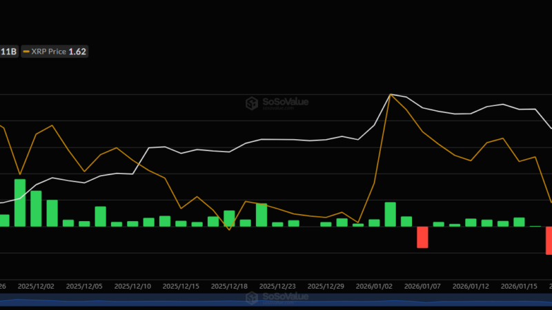 XRP ETFs Beat BTC, ETH, and SOL Funds – Yet Ripple’s Price Still Struggles