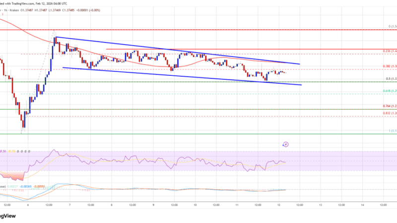 XRP Price Steadies Above Support, Break Higher Or Fade Again?