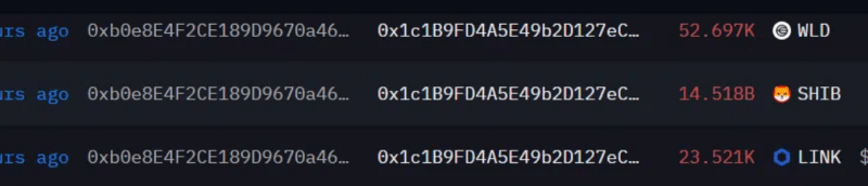 80% Down: Shiba Inu Whale Finally Exits After 2-Year Hold