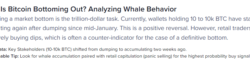 Big Players Return: Bitcoin Whales Scoop Up BTC At $71K