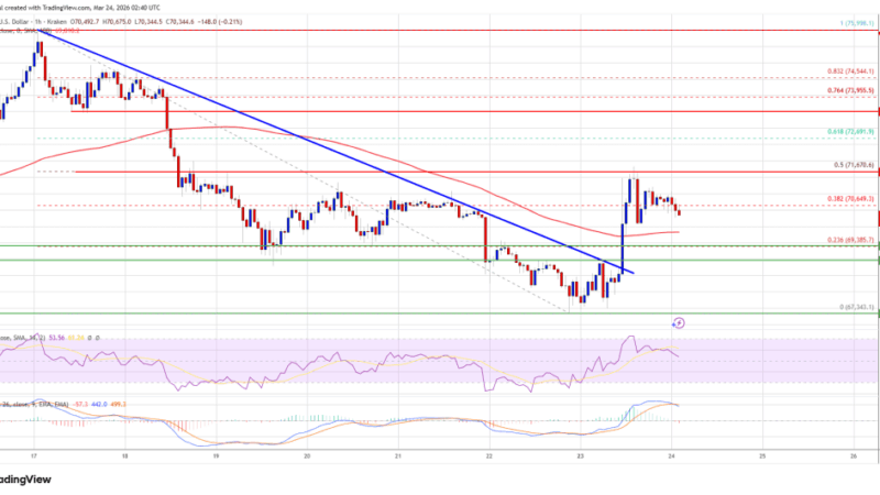 Bitcoin Price Bounce Weakens, Recovery at Risk of Fading Again