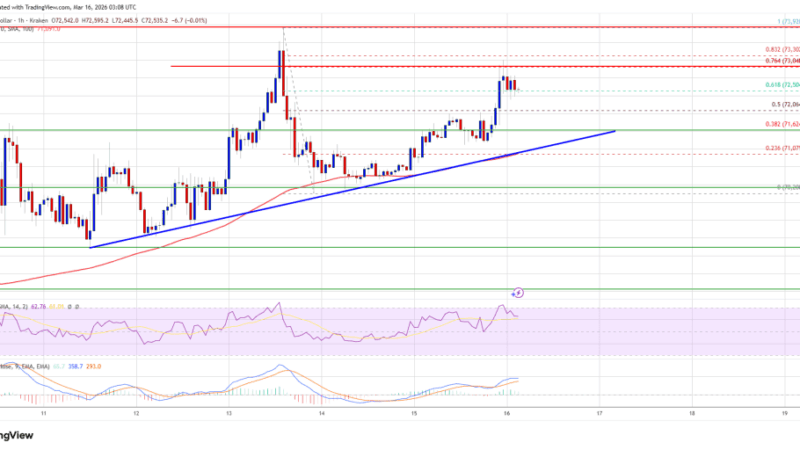 Bitcoin Price Climbs Again — Bulls Aim for New Monthly High