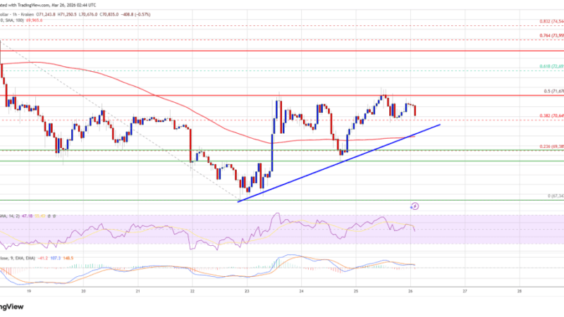 Bitcoin Price Hits Barriers, Can Bulls Overcome Key Resistance Levels?