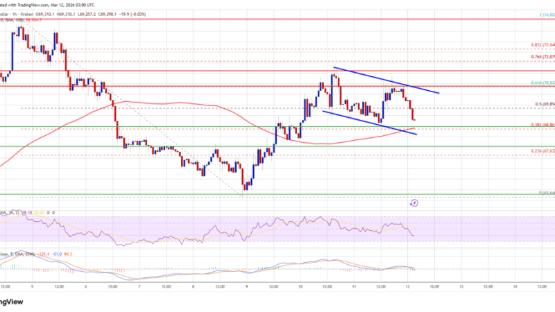 Bitcoin Price Rally Fades, Market Braces for Possible Downside