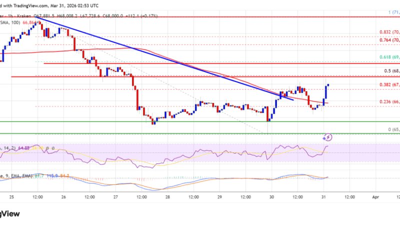 Bitcoin Price Rebounds, But Weak Momentum Caps Further Gains