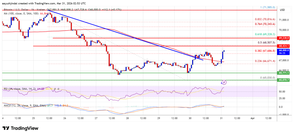 Bitcoin Price Rebounds, But Weak Momentum Caps Further Gains