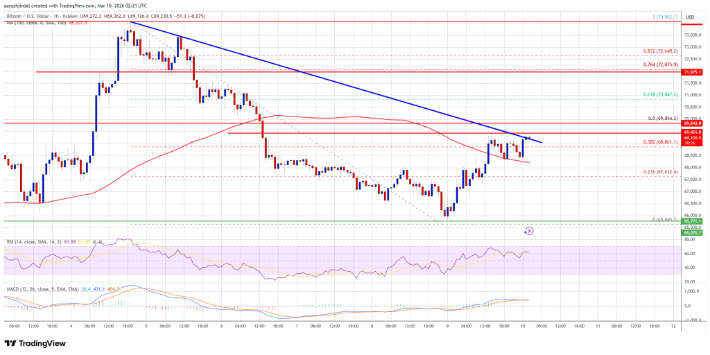 Bitcoin Price Reclaims Ground, Can Bulls Flip Market Momentum?