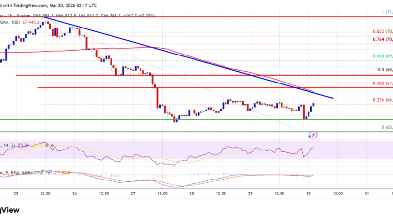 Bitcoin Price Stalls Under $68,800, Resistance Caps Upside Again
