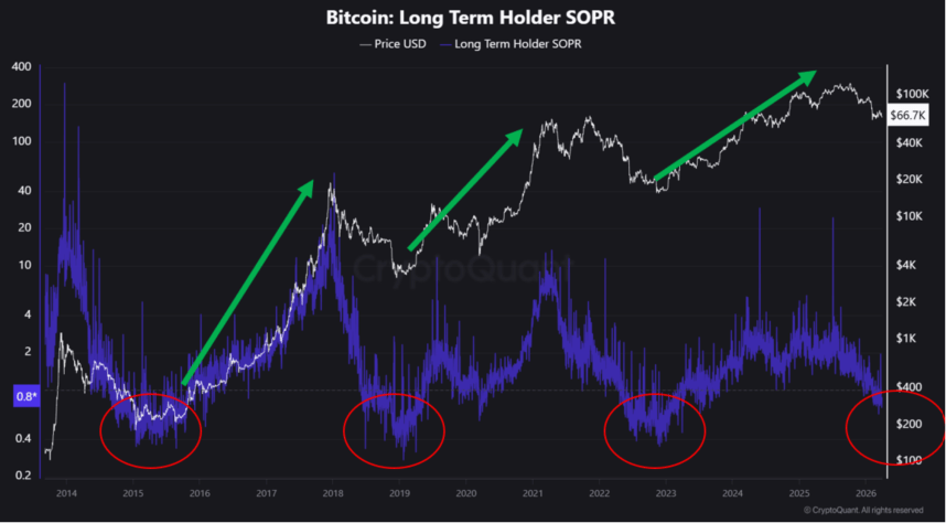 Bitcoin Range Traps Traders At $65K — Are Long‑Term Holders Finally Surrendering?