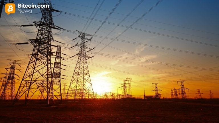 Differently Secured: Bitlease Founder Nima Beni on Why Falling Hashrates Aren’t a Threat