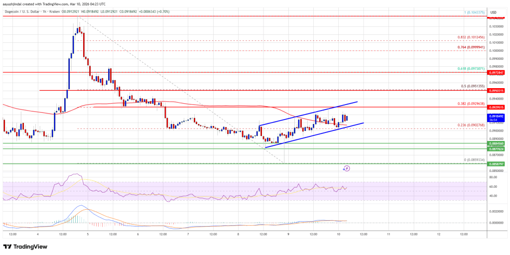 Dogecoin (DOGE) Bounce Weakens, Downtrend Risks Return Quickly